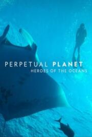 ดูซีรี่ย์ Perpetual Planet- Heroes of the Oceans (2021) บรรยายไทย