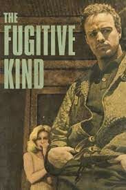 ดูซีรี่ย์ The Fugitive Kind (1960)